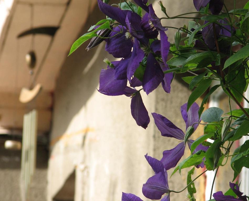 Kaevu Holiday House ปาร์นู ภายนอก รูปภาพ